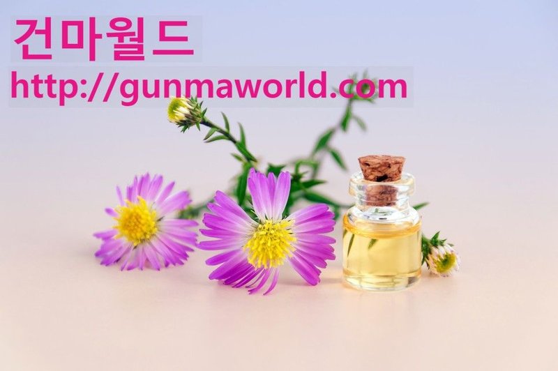 조이아로마스웨디시