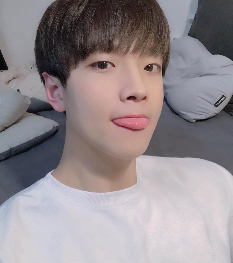 닥터스